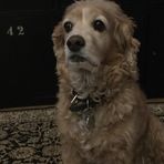 Dexter Hebert - Facebook