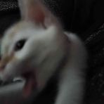 Dexter Hendrix - Facebook