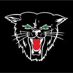 Dexter High School - @dhs_bearcats - Instagram