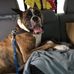 Dexter "D dog" Holmes - Facebook