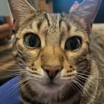 Dexter Holmes - @dwl_holmes1 - Instagram