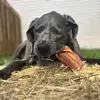 Dexter Holmes - @dexter.holmes67 - TikTok