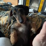 Dexter Hooper - @dexter__hooper - Instagram