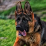 Dexter.bk.house - @dexter_bk.house - Instagram