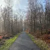 dexterhousealex - @dexterhousealex - TikTok
