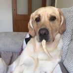 Dexter Howe - Facebook