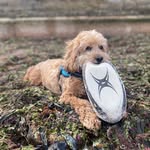 Dexter Howell - @dexter_.gram - Instagram