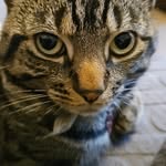 Dexter Howells - @howellsdexter - Instagram