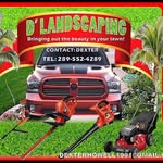 dexterhowell - @daxlandscapeing - Instagram