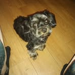 Dexter Huff - Facebook