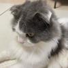 dexterhuffye6306 - @dexterhuffye6306 - TikTok
