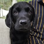 Dexter Hurst - @dexter_diary23 - Instagram