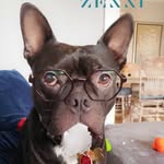 @dexter_hurst_ - Instagram