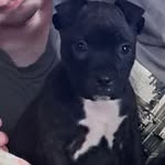 @dexter_hutton23 - Instagram