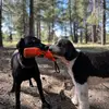 Ivey and Dexter - @ivey.and.dexter - TikTok