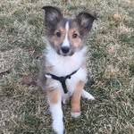 Dexter Fowler Jacob - @dexterfowlerjacob23 - Instagram