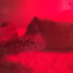 Dexter Jacob - @dexter_the_serial_killer - Instagram