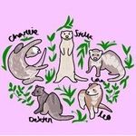 charlie , lola, leo, stella, dexter & jasper - @thefluffernoodlez - Instagram