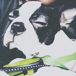 DeXteR - @dexter_jasper - Instagram