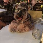 Dexter Jasper boy boy - @dexterboyboy - Instagram