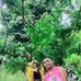 Dexter Kent Lopez Caga - Facebook
