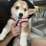Dexter Von Kent - @dextervonkent - Instagram