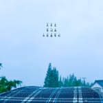 秋野 - @dexterkidd - Instagram