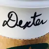 Dexter Kim - @dexter.kim8 - TikTok