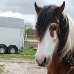 💖D E X T E R💖 - @kleinemuecke_dexter - Instagram