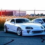 Dexter - @dexter_knapper21 - Instagram