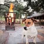 dexter2 - @dexterlambrechts2 - Instagram