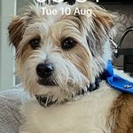 Sprout - @dexter_lambe123 - Instagram