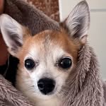 Dexter Lane - @dexter2_014 - Instagram