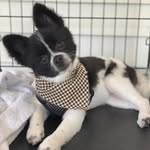 Dexter Lane - @_dexter.lane - Instagram