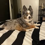Dexter Larson - @dexterdowntown - Instagram
