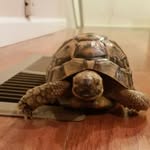 Dexter Powers-Larson - @powerslarson - Instagram
