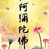 Dexter Lau237 - @dexterlau268 - TikTok