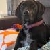 Dexter Lawrence - Facebook