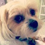 Dexter Lehman - Facebook