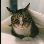Dexter Lehman - @chunky_bubba_ - Instagram