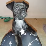 Dexter Leon Pendleton - @dexterleonpendleton - Instagram