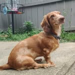 Dexter Leonidas - @dexterleonidas - Instagram