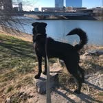 Dexter J. Leonard - @adventures.with.dex - Instagram