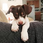 Dexter Leonard - @this.is.dex - Instagram