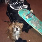 Dexter Leonard - @dexleonardiii - Instagram