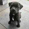 DexterLips - @dexterlips - TikTok