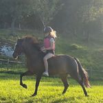 @lilly_og_dexter - Instagram