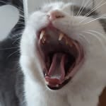 Dexter Lindgren Ördell - @_dexter_milton - Instagram