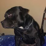 Dexter Lloyd - @_dexterlloyd - Instagram