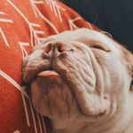 Dexter Lloyd - @dextersdaysout - Instagram